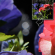 Illustration for article titled Sony Alpha NEX-5 photo samples: